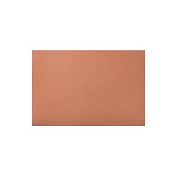 Color Skin Bronzer- Bronze Swag