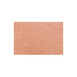 Color Skin Blush -Fleeting Bronze