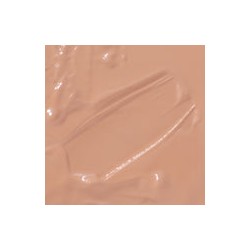 Maquillaje Color Skin PRO Foundation - LIGHT MEDIUM