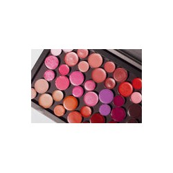 Lipstick Palette